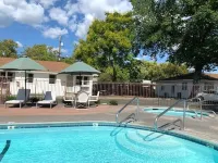 Carlin's Cottage Court - Swimmingpools