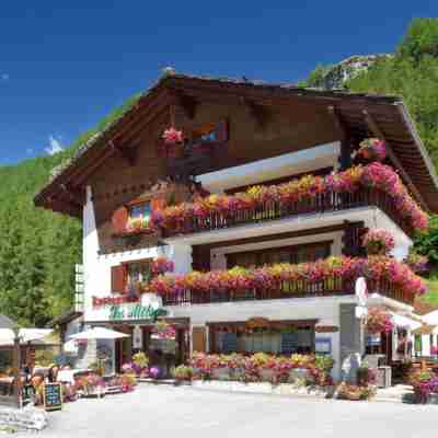 Hôtel Les Mélèzes Hotel Exterior