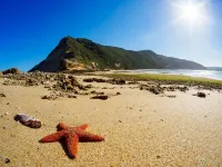 Simbavati Fynbos on Sea - Beach