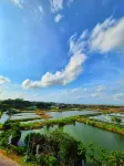 Trans karimunjawa