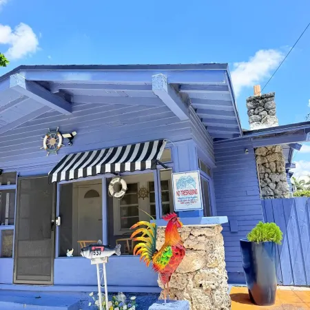 Blue Little Havana