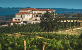 Wine Residence Cattunar
