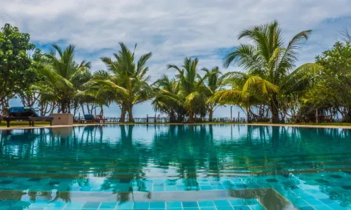 Soul Wellness and Ayurveda Resort