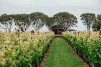 Basalt Wines Retreat - Villas