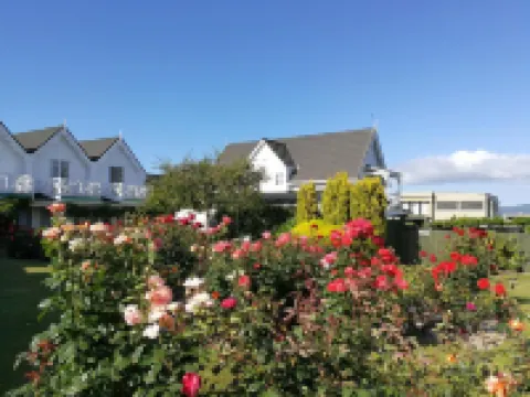 Phoenix Thermal Resort - Taupo