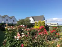 Phoenix Thermal Resort - Taupo Hotels in Taupo