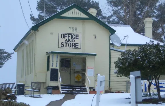 彩虹松樹旅遊露營地