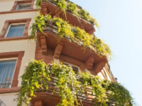 Hôtel le Grillon Hoteles en Estrasburgo