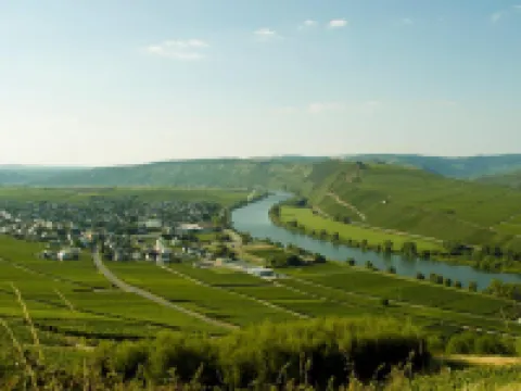 Gästehaus Alexanderhof Hoteles en Leiwen