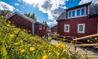 Svinøya Rorbuer