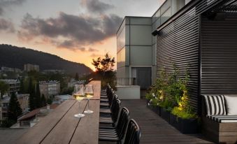 Schumacher Hotel Haifa - Housity