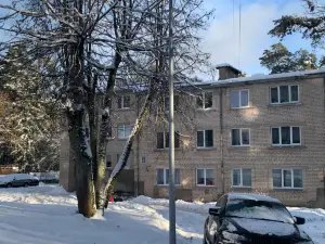 Studio Tipa dzīvoklis Ogrē