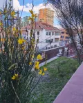York Hostel Hotels in 