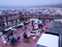 Dolphin Cove Motel - Beach
