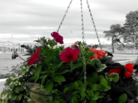 The Park Hotel Hotels in Dunoon