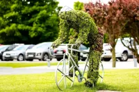 Diune Resort & Apartamenty - parking