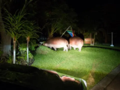 St. Lucia Wetlands Guest House Hotels near Saint Lucia Estuary