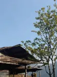 Hien Homestay Coffee & Restaurant - 3-Sterne