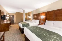 Comfort Suites Denver Near Anschutz Medical Campus
