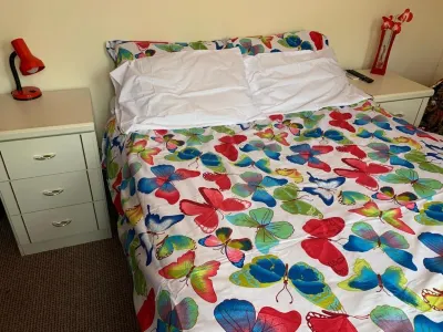 Busy Bee - Guest House - Self Service Hotels in Leigh