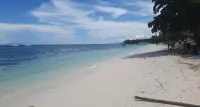Alona Beach Poolside Hotel Panglao - pet friendly