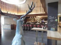 Fair Resort All Inclusive Wellness & Spa Hotel Jena - bar