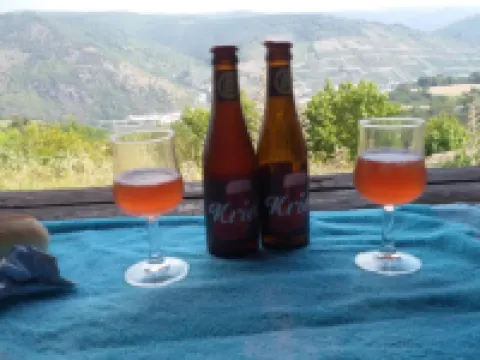Hotel Pension Winzerhaus Hotels in Bacharach