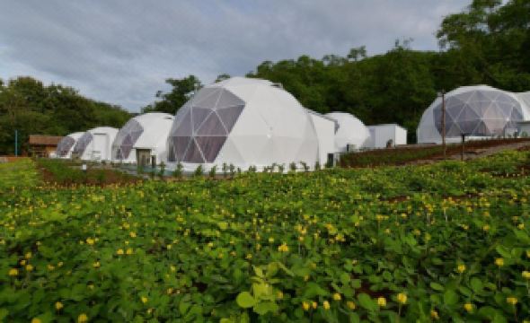 NiNo San Glamping - Pak Chong