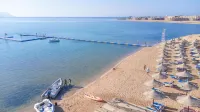 Ivy Cyrene Sharm Resort Adults Friendly Plus 13 샤름엘셰이크 공항 주변 호텔
