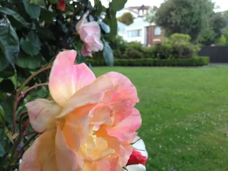 Heriot Lane City Apartments Отели рядом с достопримечательностью «Dunedin Public Art Gallery»