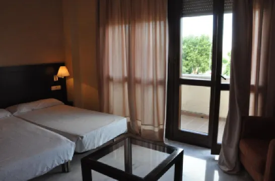 Apartamentos Luxsevilla Palacio アクオポリス周辺のホテル