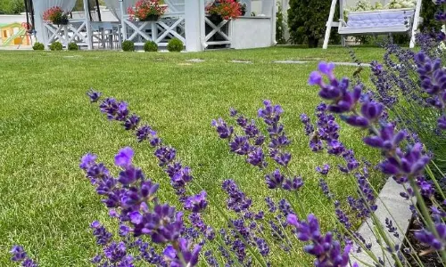 Krystal Boutique Mansion