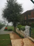 Sang Poy Cottage Hotels in der Nähe von Pang Tong Under Royal Forest Park 2