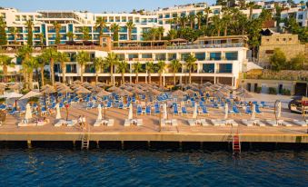 Delta Hotels by Marriott Bodrum