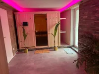 Spring Inn Apartments Hotels in Oberhasli