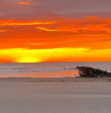 Casita Del Mar Hotels in 