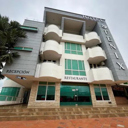 Hotel Fenix
