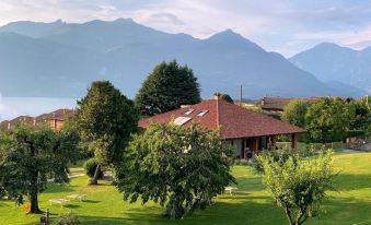 La Roggia - Historic Molino Maufet Watermill - Lake Como