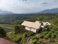 Nimo Tea Resort - bar