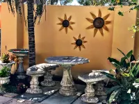 A Sunflower Stop Backpackers