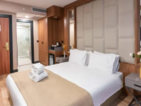 Four Sides Taksim Lion Hotel&Spa Hotels in Istanbul