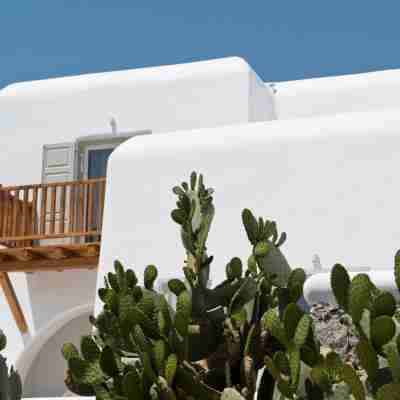 Diles Villas & Suites Mykonos Hotel Exterior