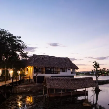 Maya Internacional