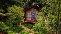 Los Pinos Cabins & Reserve Hotels near Monteverde Butterfly Gardens