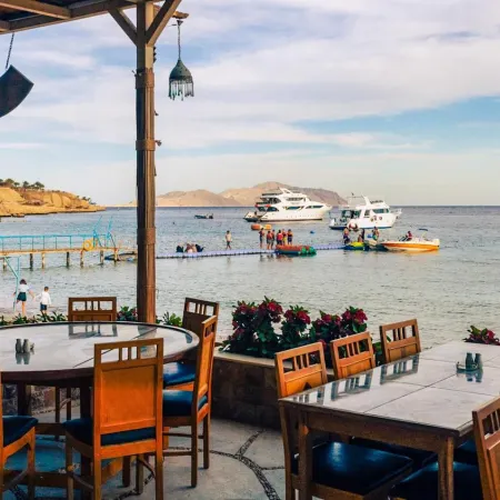 Umbi Sharks Bay Diving Village Отели рядом с достопримечательностью «Dessole Nesco Waves»