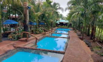 Hotel Palmera Real Hot Springs
