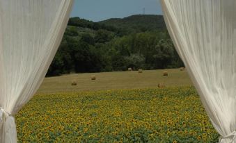 Agriturismo Tara