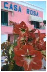 Hotel Casa Rosa Sea & Spa Hotel in zona Isola d'Ischia