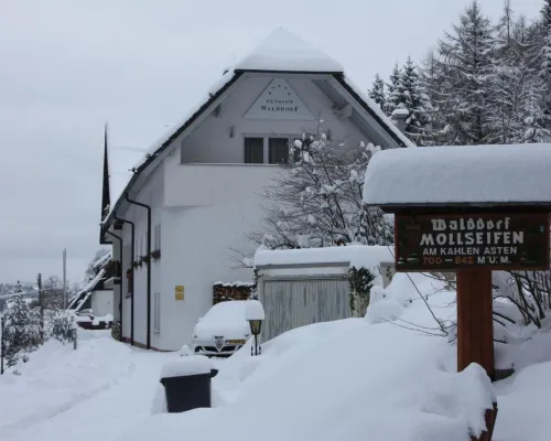 Pension Walddorf Hotels in Winterberg