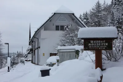 Pension Walddorf Hotels in Altastenberg